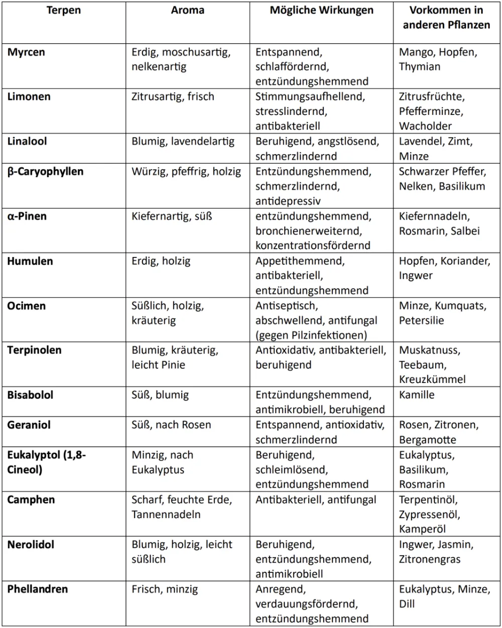 Tabelle mit den verschiedenen Terpenprofilen